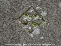 Savernake - photo: 00253