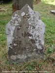 Savernake - photo: 00254