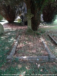 Savernake - photo: 00263