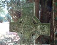 Savernake - photo: 00265