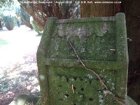 Savernake - photo: 00266