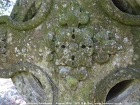 Savernake - photo: 00268