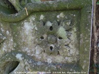 Savernake - photo: 00269