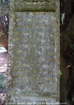 Savernake - photo: 00270