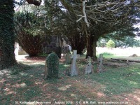 Savernake - photo: 00277