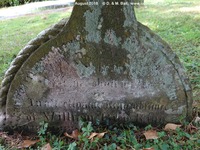 Savernake - photo: 00284