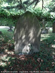 Savernake - photo: 00285