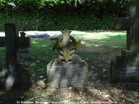 Savernake - photo: 00286