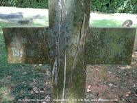 Savernake - photo: 00296