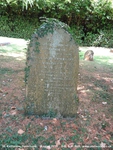 Savernake - photo: 00297