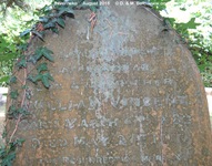 Savernake - photo: 00299