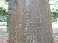Savernake - photo: 00300