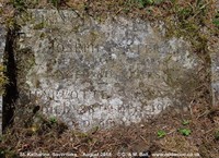 Savernake - photo: 00307