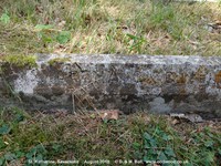 Savernake - photo: 00312