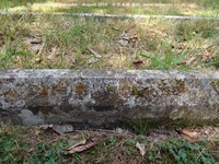 Savernake - photo: 00313