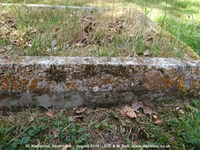 Savernake - photo: 00315