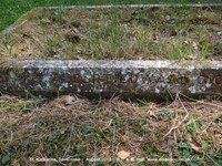 Savernake - photo: 00316