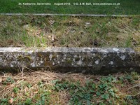 Savernake - photo: 00317