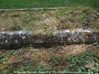 Savernake - photo: 00318