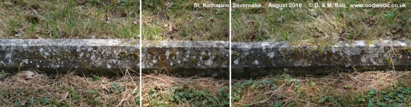 Savernake - photo: 00320