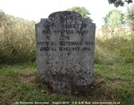 Savernake - photo: 00321