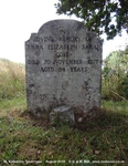 Savernake - photo: 00322