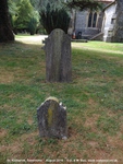 Savernake - photo: 00326