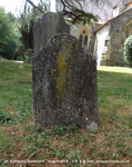 Savernake - photo: 00327