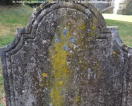 Savernake - photo: 00328
