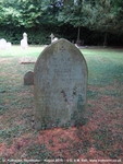 Savernake - photo: 00329