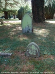 Savernake - photo: 00335