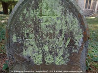 Savernake - photo: 00337