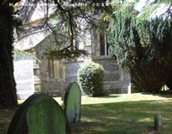 Savernake - photo: 00338