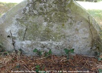 Savernake - photo: 00345