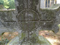 Savernake - photo: 00346