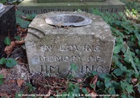 Savernake - photo: 00353
