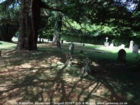 Savernake - photo: 00360