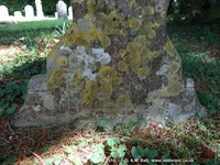 Savernake - photo: 00362