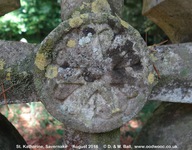 Savernake - photo: 00364