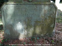 Savernake - photo: 00370