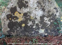 Savernake - photo: 00375