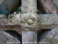 Savernake - photo: 00377