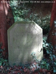 Savernake - photo: 00378