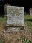 Savernake - photo: 00386