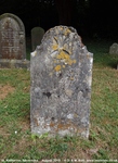 Savernake - photo: 00398