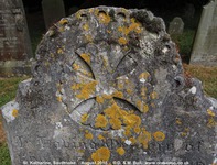 Savernake - photo: 00399