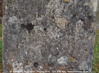 Savernake - photo: 00401