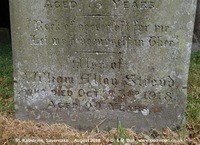 Savernake - photo: 00407