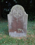 Savernake - photo: 00417