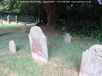 Savernake - photo: 00418